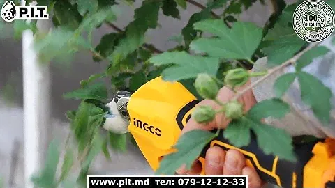 Аккумуляторный Секатор INGCO CSSLI20308