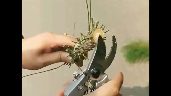 high quality pruning shears